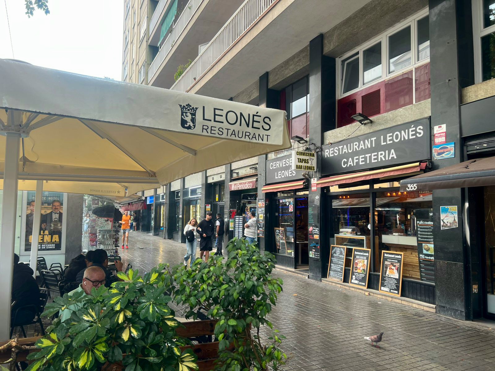 Restaurant Leonés Bar - Ambiente acogedor